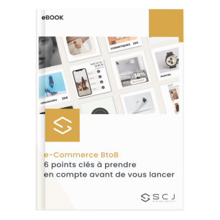 e-Commerce BtoB SCJ